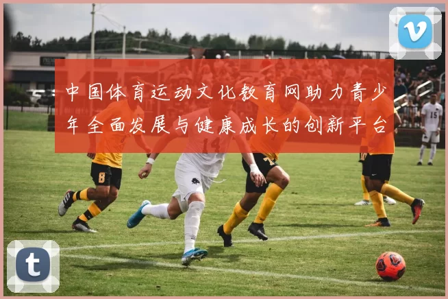 中国体育运动文化教育网助力青少年全面发展与健康成长的创新平台