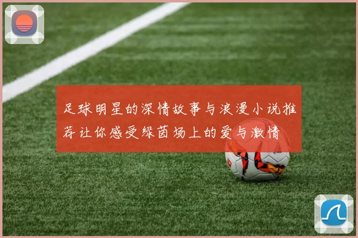 足球明星的深情故事与浪漫小说推荐让你感受绿茵场上的爱与激情