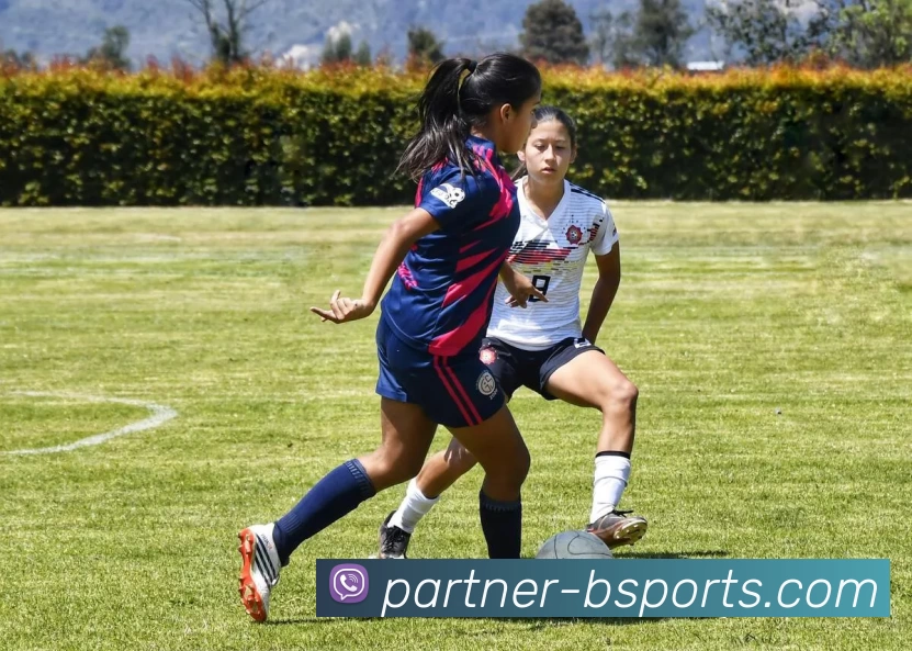 B体育APP 封面图